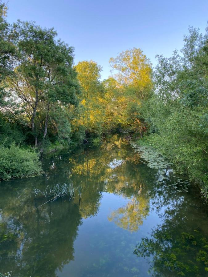 Studio Indre Climatise, La Halte De Cuze, Aux Abords De La Loire A Velo Huismes Eksteriør bilde