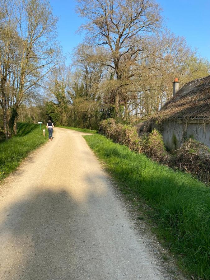 Studio Indre Climatise, La Halte De Cuze, Aux Abords De La Loire A Velo Huismes Eksteriør bilde