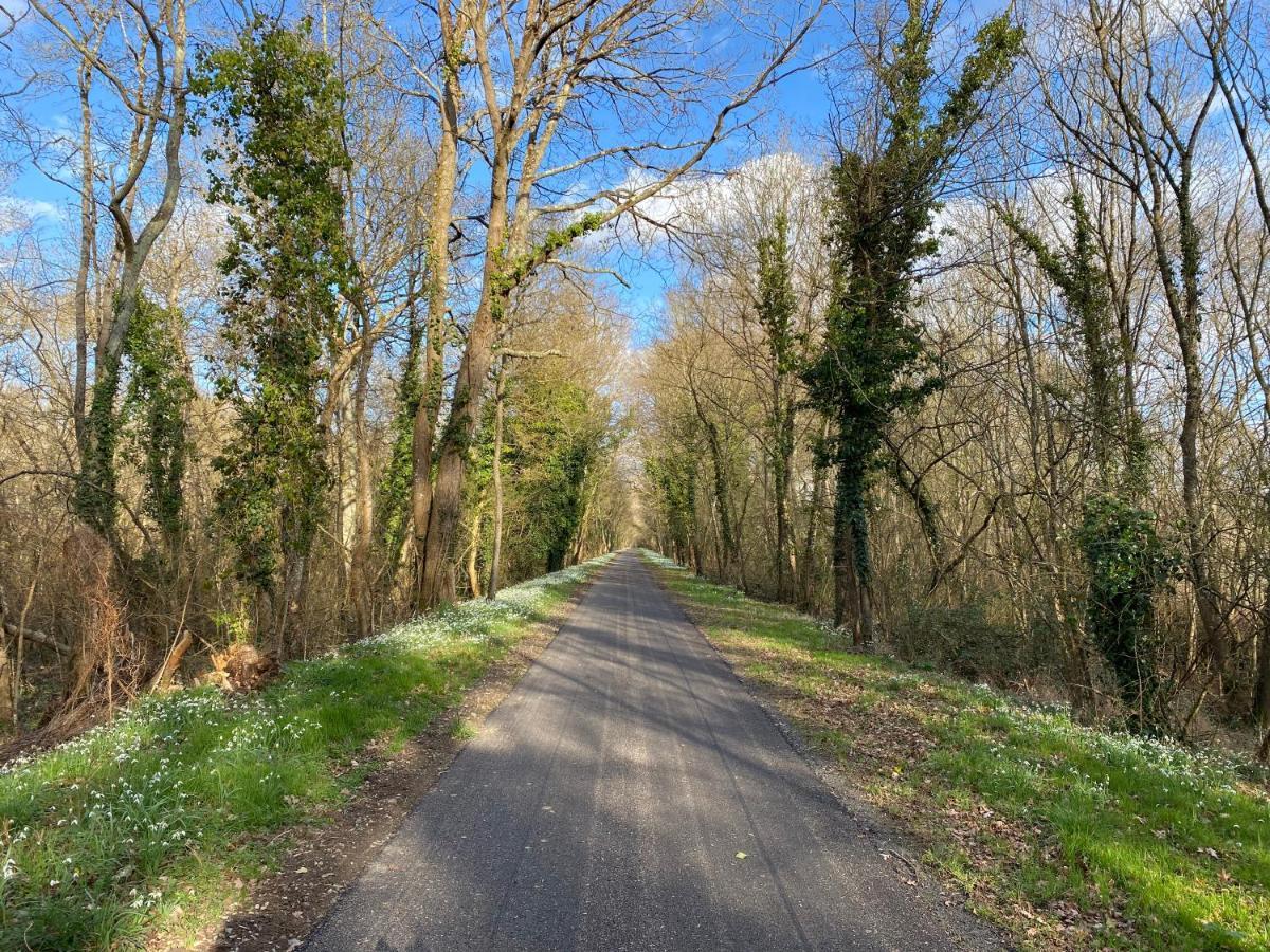 Studio Indre Climatise, La Halte De Cuze, Aux Abords De La Loire A Velo Huismes Eksteriør bilde