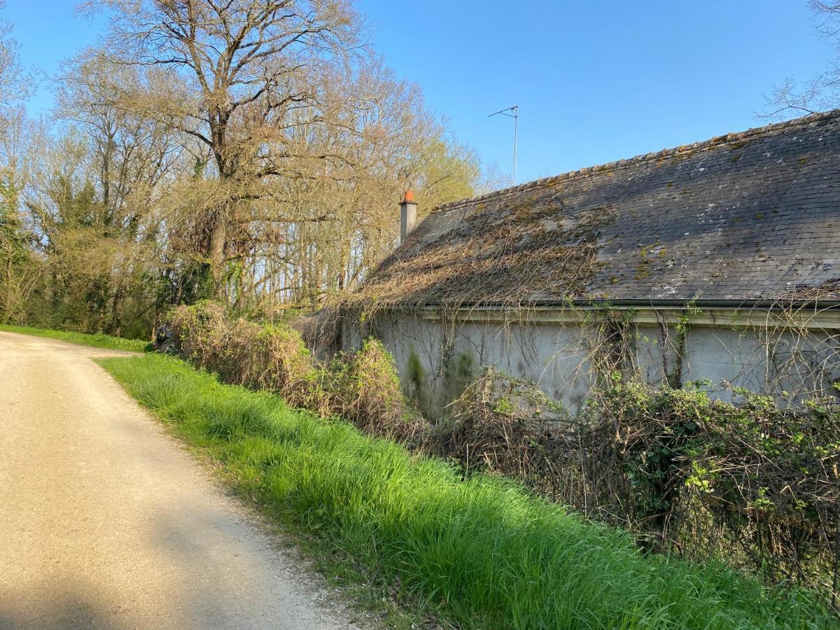 Studio Indre Climatise, La Halte De Cuze, Aux Abords De La Loire A Velo Huismes Eksteriør bilde